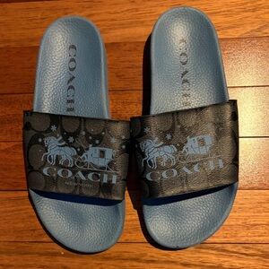 Coach Black and Blue Logo Slides